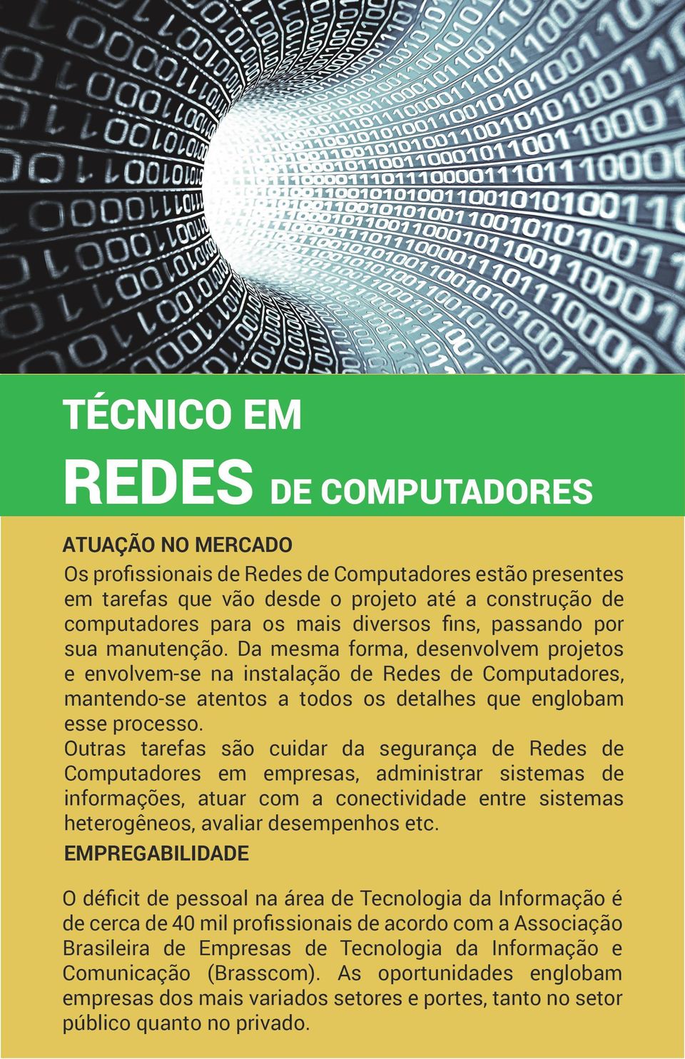 Outras tarefas são cuidar da segurança de Redes de Computadores em empresas, administrar sistemas de informações, atuar com a conectividade entre sistemas heterogêneos, avaliar desempenhos etc.