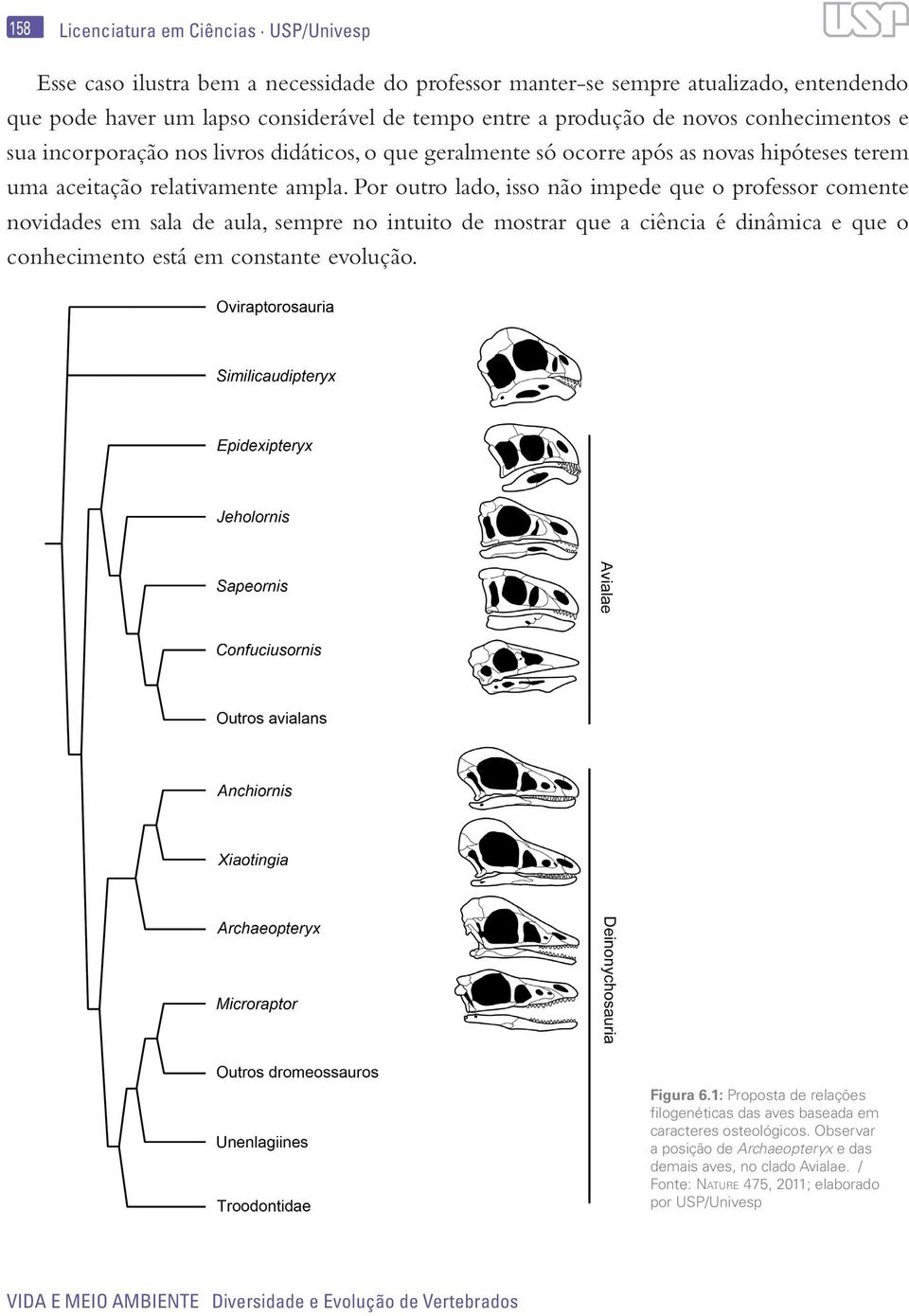 Por outro lado, isso não impede que o professor comente novidades em sala de aula, sempre no intuito de mostrar que a ciência é dinâmica e que o conhecimento está em constante evolução. Figura 6.