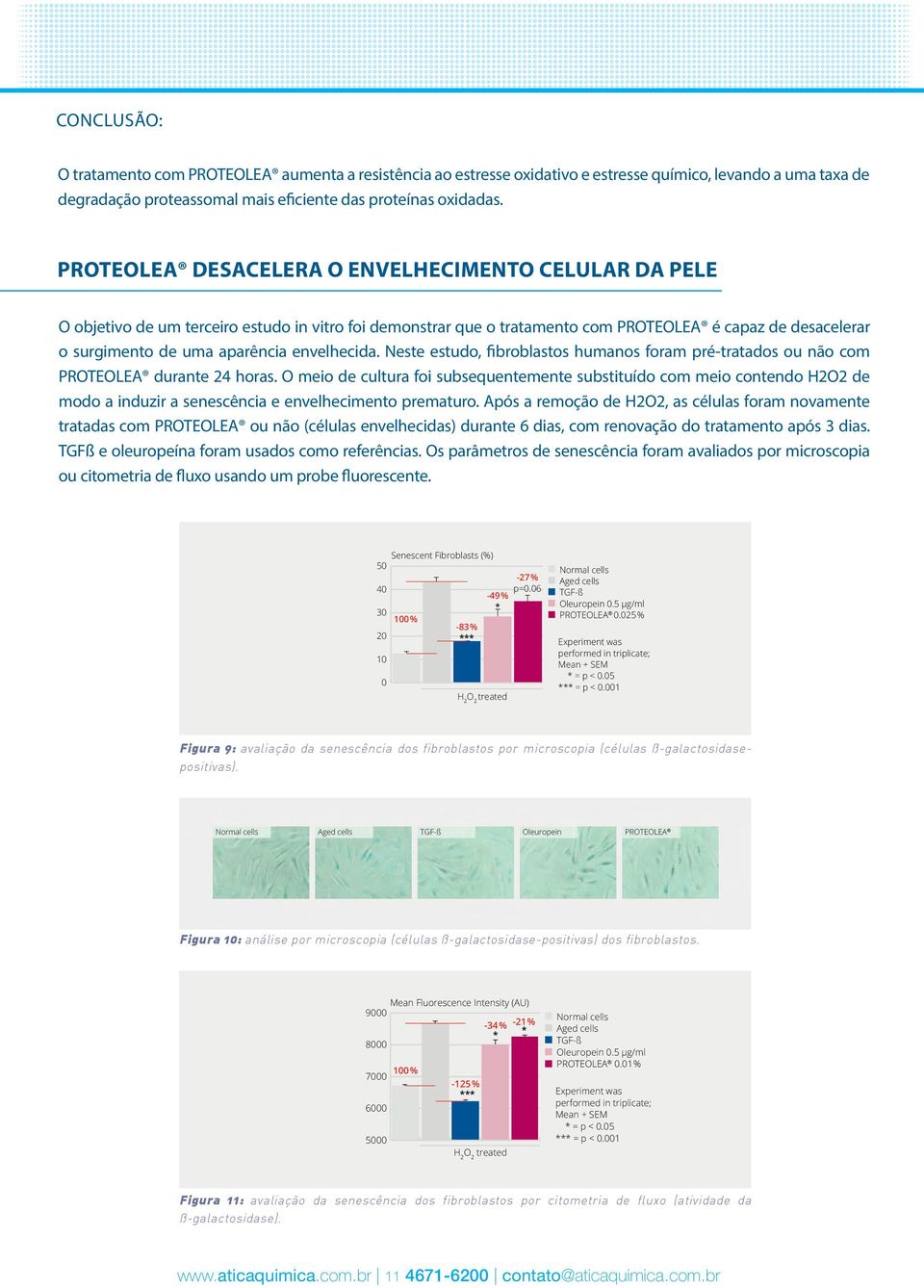 envelhecida. Neste estudo, fibroblastos humanos foram pré-tratados ou não com PROTEOLEA durante 24 horas.