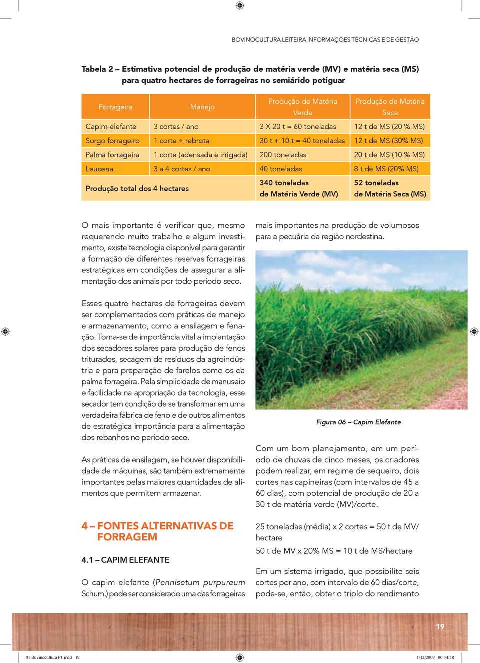 toneladas 12 t de MS (30% MS) Palma forrageira 1 corte (adensada e irrigada) 200 toneladas 20 t de MS (10 % MS) Leucena 3 a 4 cortes / ano 40 toneladas 8 t de MS (20% MS) Produção total dos 4