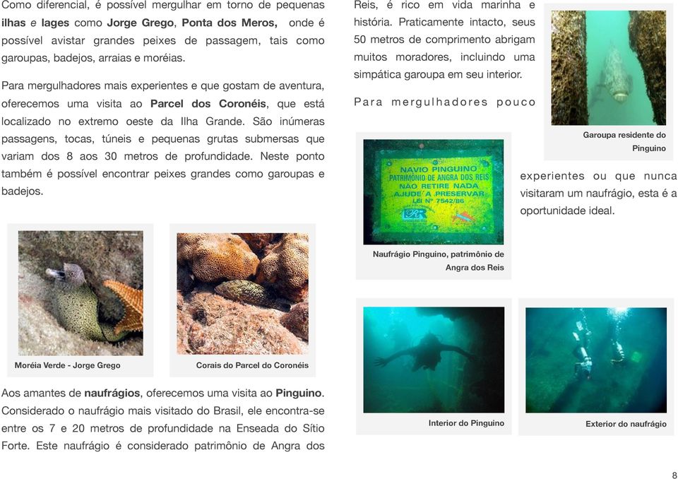 São inúmeras passagens, tocas, túneis e pequenas grutas submersas que variam dos 8 aos 30 metros de profundidade. Neste ponto também é possível encontrar peixes grandes como garoupas e badejos.