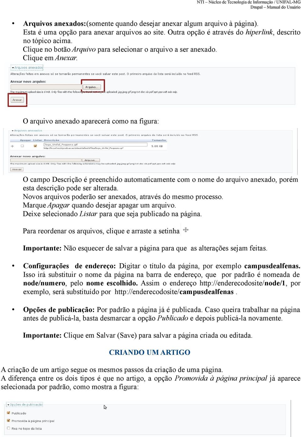 O arquivo anexado aparecerá como na figura: O campo Descrição é preenchido automaticamente com o nome do arquivo anexado, porém esta descrição pode ser alterada.