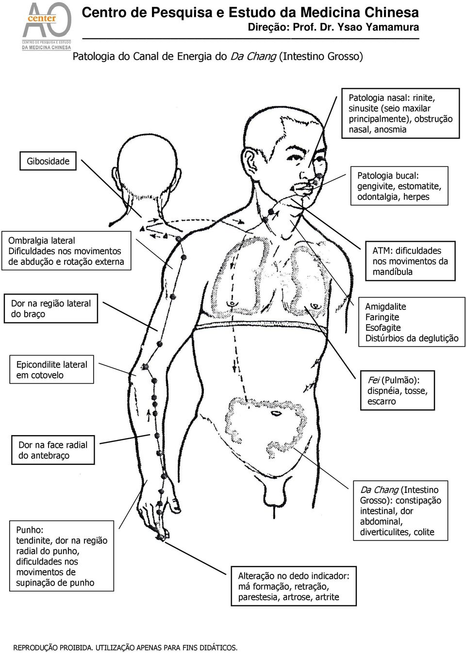 Faringite Esofagite Distúrbios da deglutição Epicondilite lateral em cotovelo Fei (Pulmão): dispnéia, tosse, escarro Dor na face radial do antebraço Punho: tendinite, dor na região radial do punho,