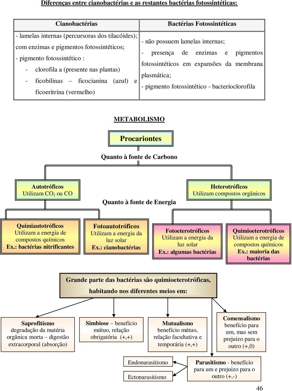 pigmentos fotossintéticos em expansões da membrana plasmática; - pigmento fotossintético - bacterioclorofila METABOLISMO Procariontes Quanto à fonte de Carbono Autotróficos Utilizam CO 2 ou CO Quanto