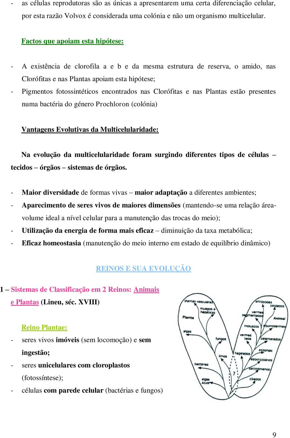 nas Clorófitas e nas Plantas estão presentes numa bactéria do género Prochloron (colónia) Vantagens Evolutivas da Multicelularidade: Na evolução da multicelularidade foram surgindo diferentes tipos