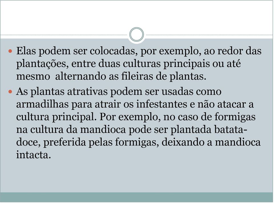 As plantas atrativas podem ser usadas como armadilhas para atrair os infestantes e não atacar a