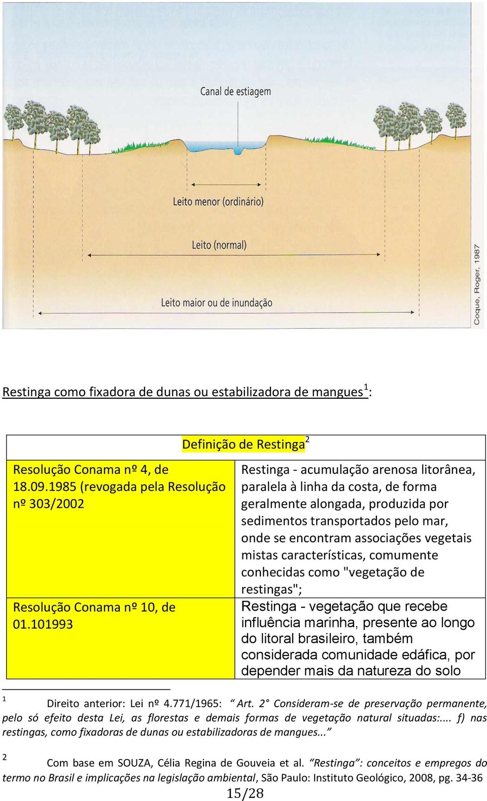 associações vegetais mistas características, comumente conhecidas como "vegetação de restingas"; Restinga - vegetação que recebe influência marinha, presente ao longo do litoral brasileiro, também