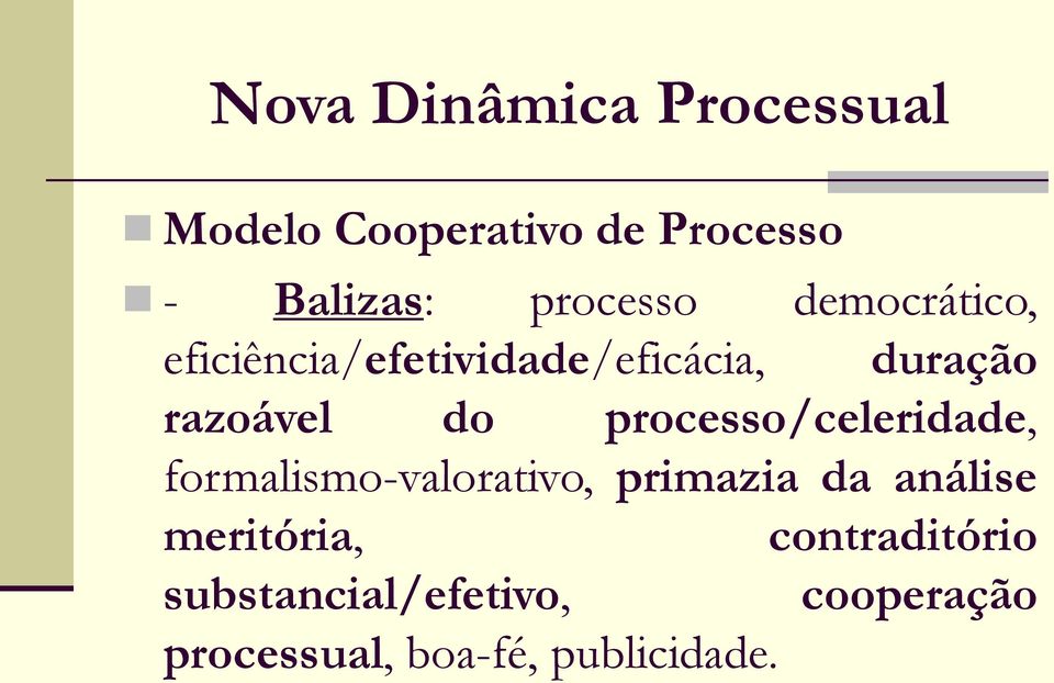 do processo/celeridade, formalismo-valorativo, primazia da análise