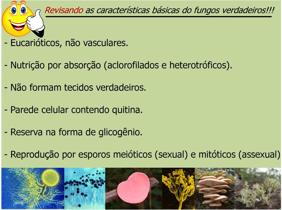 - Nutrição por absorção (aclorofilados e heterotróficos).