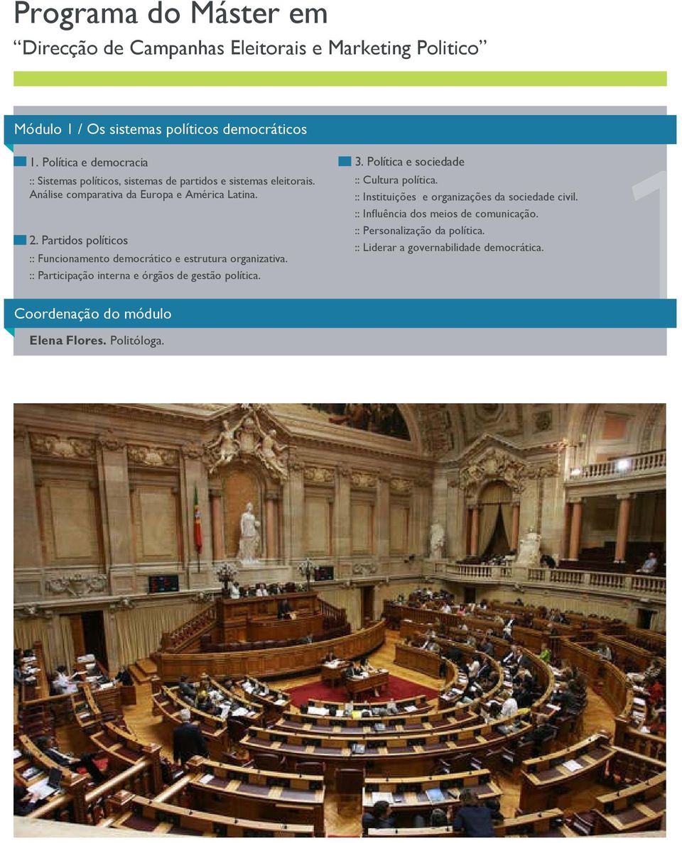 Partidos políticos :: Funcionamento democrático e estrutura organizativa. :: Participação interna e órgãos de gestão política. Coordenação do módulo Elena Flores.