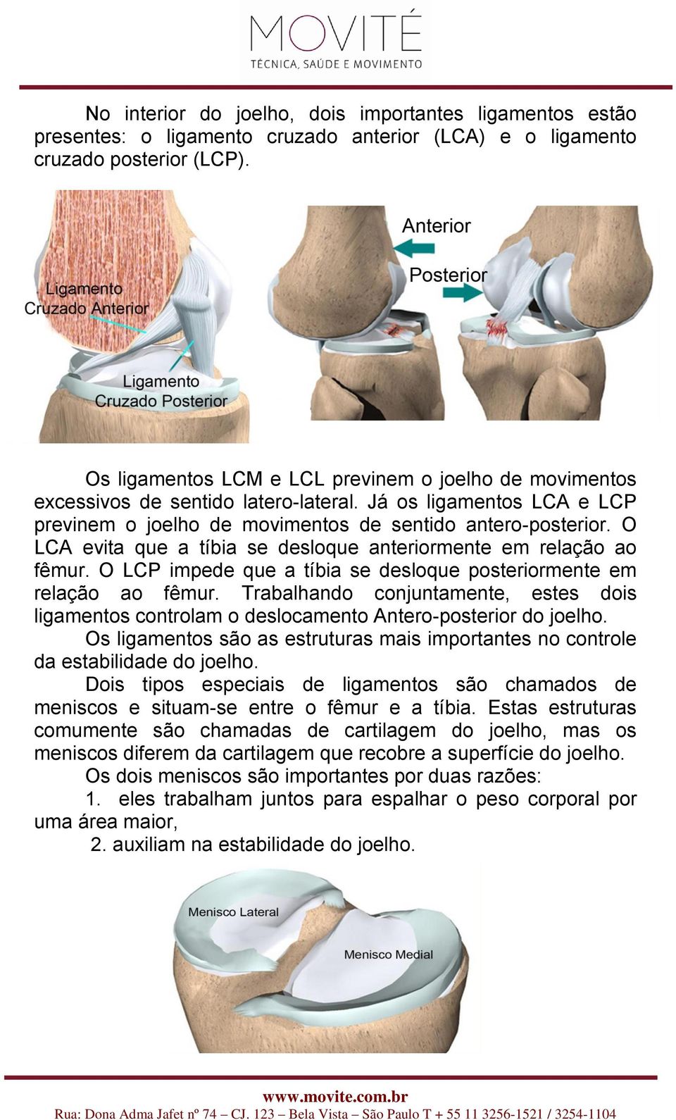 O LCA evita que a tíbia se desloque anteriormente em relação ao fêmur. O LCP impede que a tíbia se desloque posteriormente em relação ao fêmur.