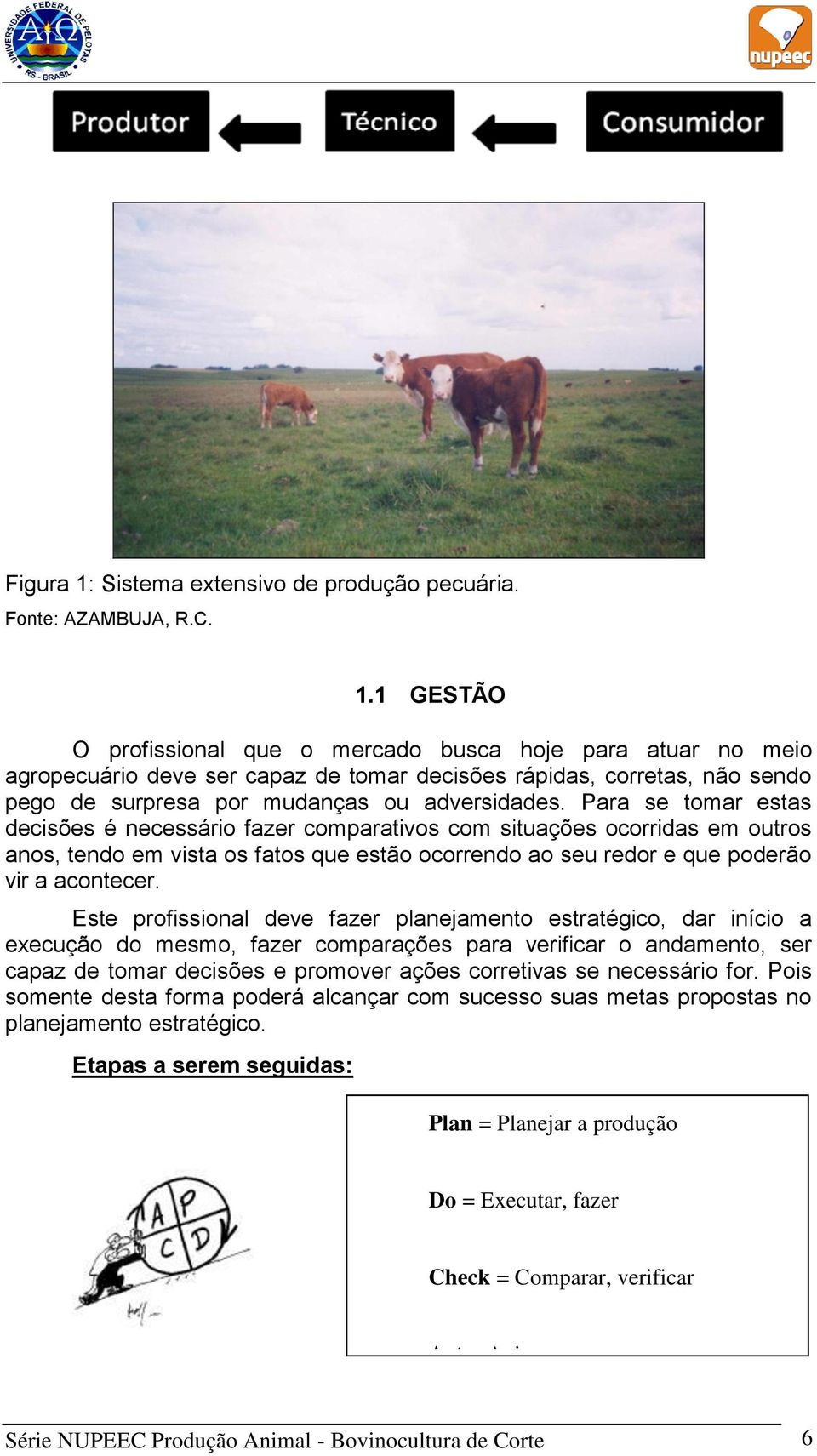 Este profissional deve fazer planejamento estratégico, dar início a execução do mesmo, fazer comparações para verificar o andamento, ser capaz de tomar decisões e promover ações corretivas se