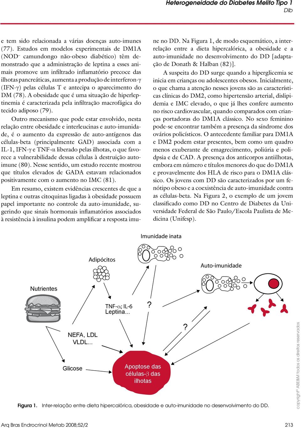 pancreáticas, aumenta a produção de interferon-γ (IFN-γ) pelas células T e antecipa o aparecimento do DM (78).