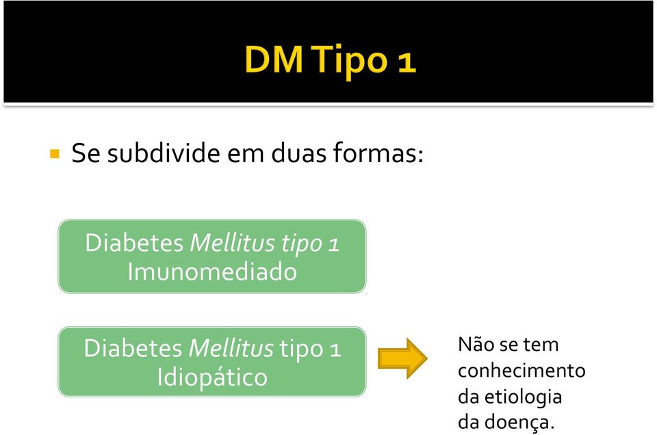 Mellitus tipo 1 Idiopático Não se tem