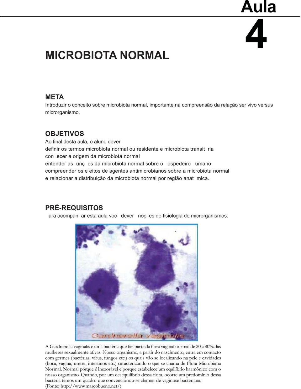 sobre o ospedeiro umano compreender os e eitos de agentes antimicrobianos sobre a microbiota normal e relacionar a distribuição da microbiota normal por região anat mica.