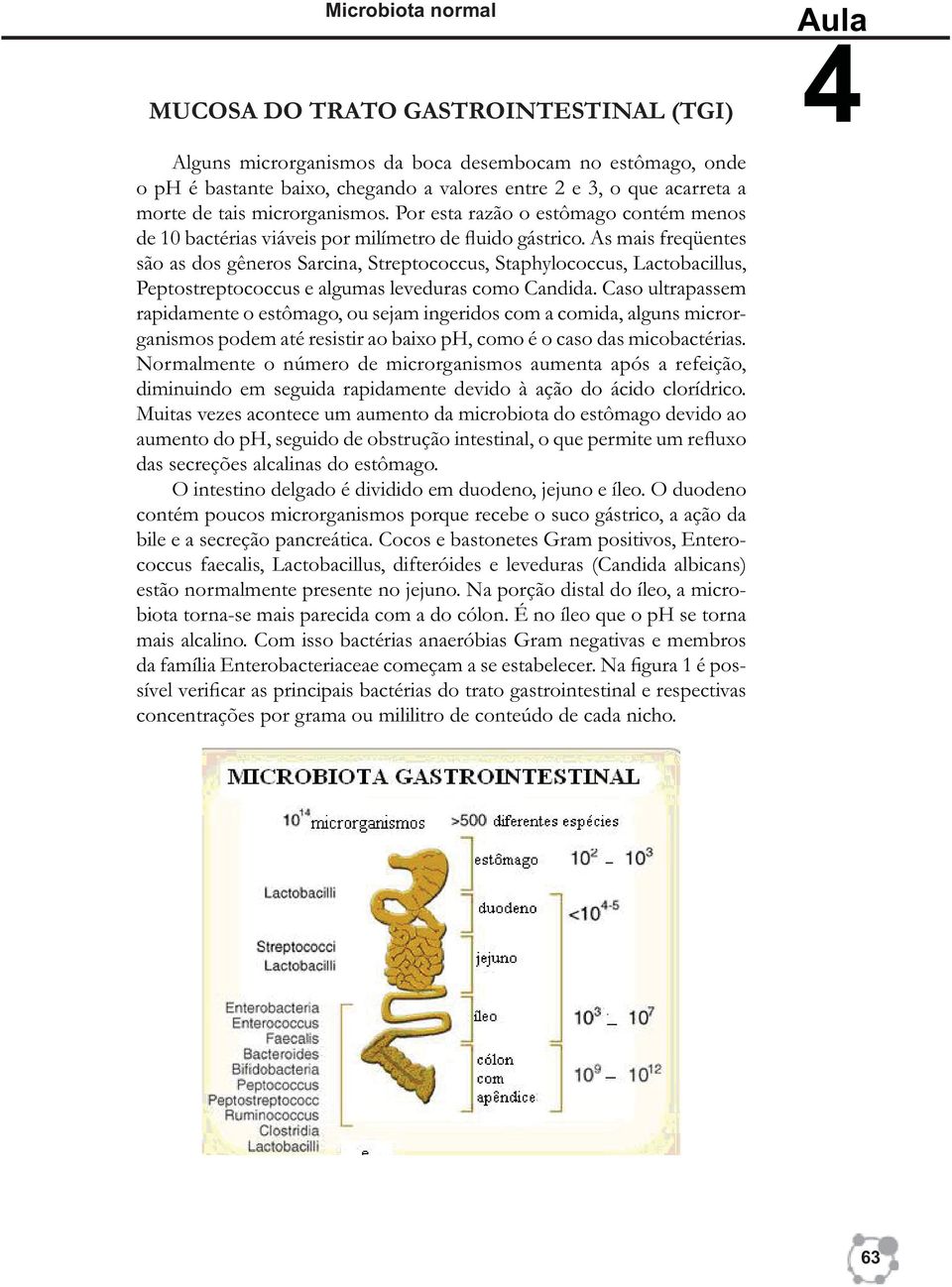 As mais freqüentes são as dos gêneros Sarcina, Streptococcus, Staphylococcus, Lactobacillus, Peptostreptococcus e algumas leveduras como Candida.