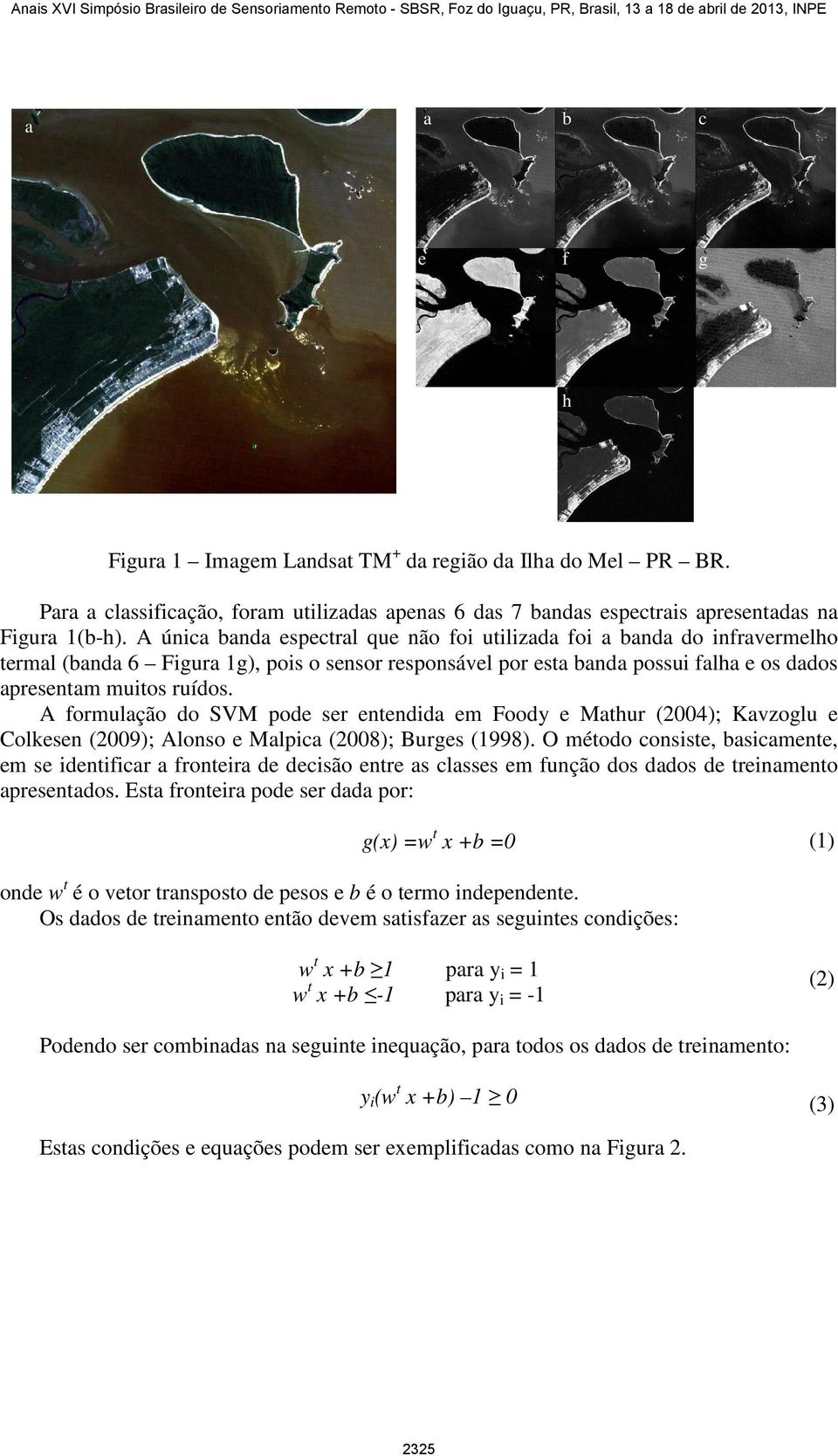 A formulação do SVM pode ser entendida em Foody e Mathur (2004); Kavzoglu e Colkesen (2009); Alonso e Malpica (2008); Burges (1998).