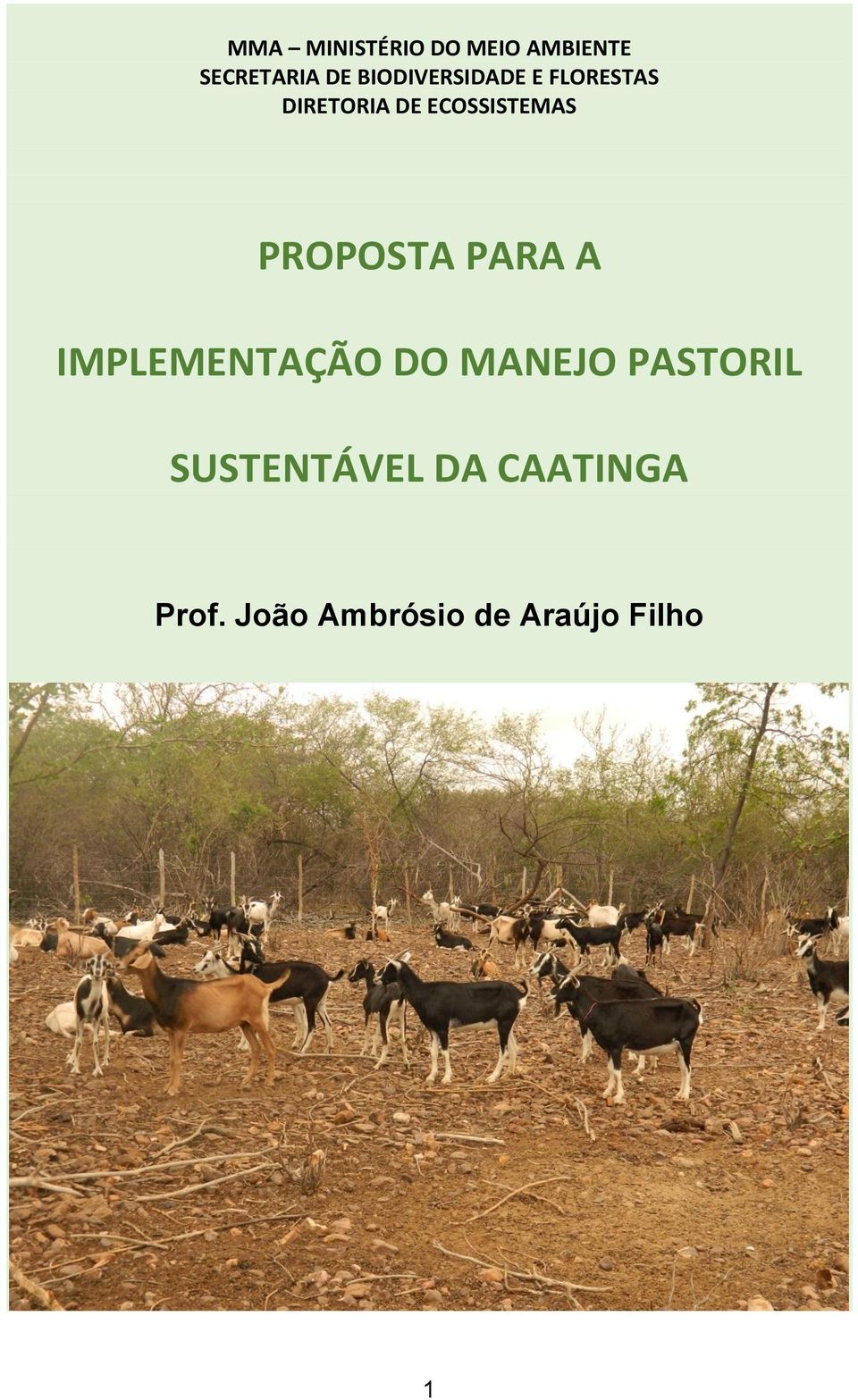 PROPOSTA PARA A IMPLEMENTAÇÃO DO MANEJO PASTORIL