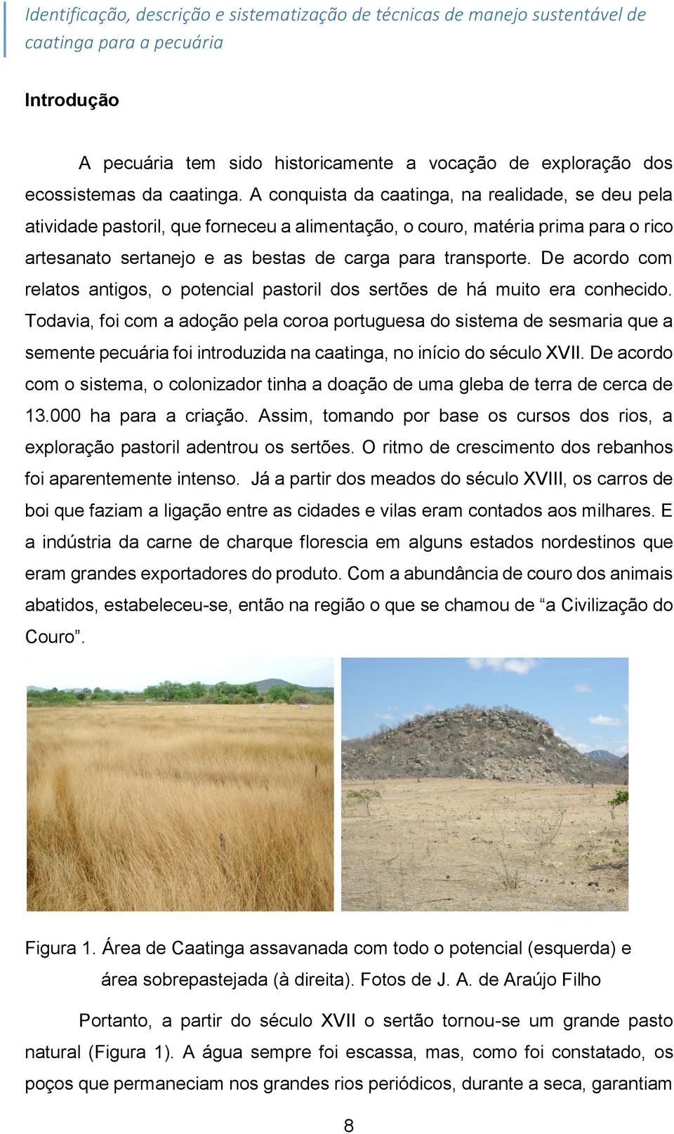 A conquista da caatinga, na realidade, se deu pela atividade pastoril, que forneceu a alimentação, o couro, matéria prima para o rico artesanato sertanejo e as bestas de carga para transporte.