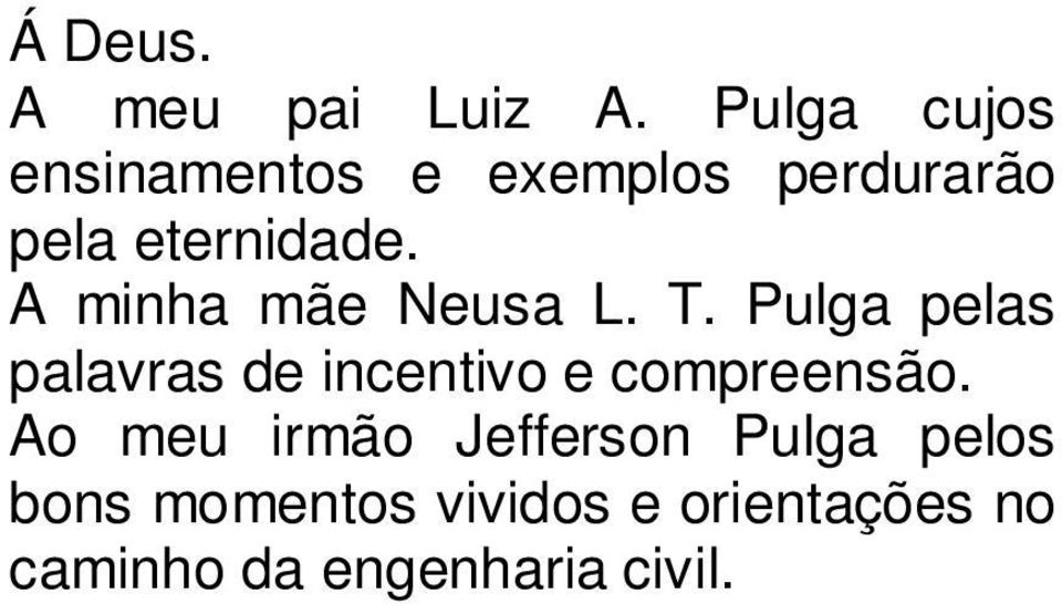 A minha mãe Neusa L. T.