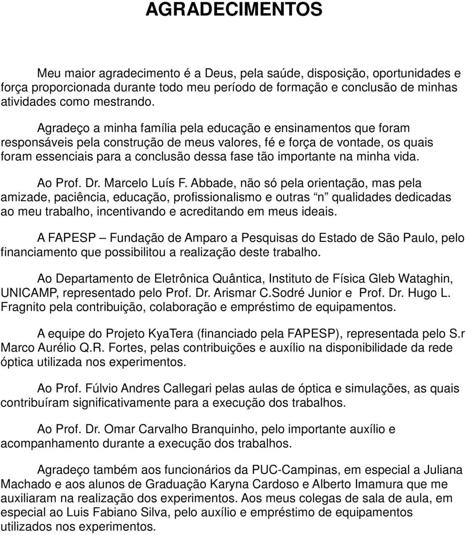 importante na minha vida. Ao Prof. Dr. Marcelo Luís F.