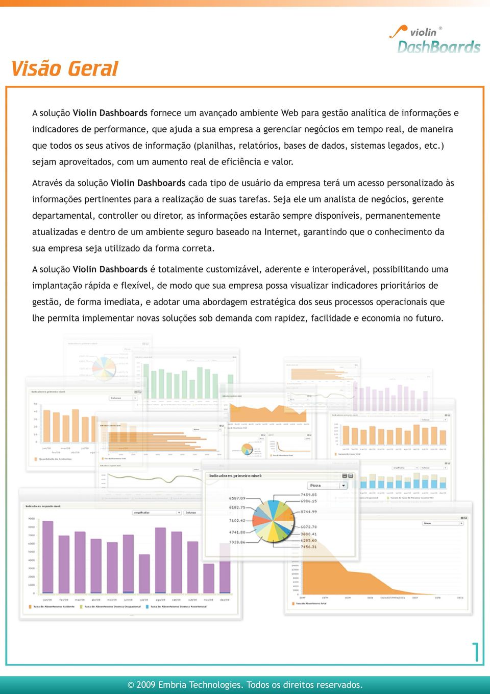 Através da solução Violin Dashboards cada tipo de usuário da empresa terá um acesso personalizado às informações pertinentes para a realização de suas tarefas.