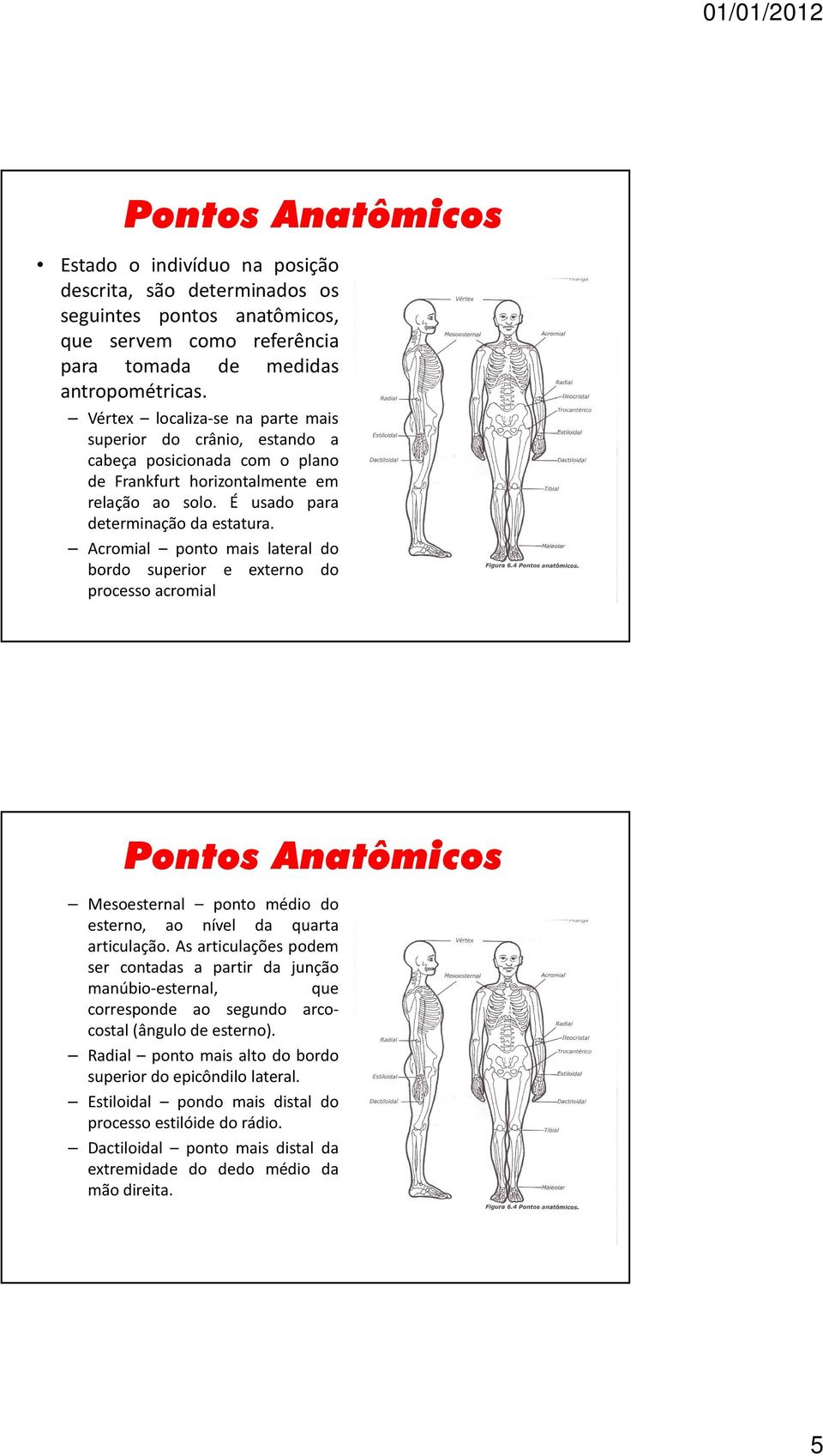 Acromial ponto mais lateral do bordo superior e externo do processo acromial Pontos Anatômicos Mesoesternal ponto médio do esterno, ao nível da quarta articulação.