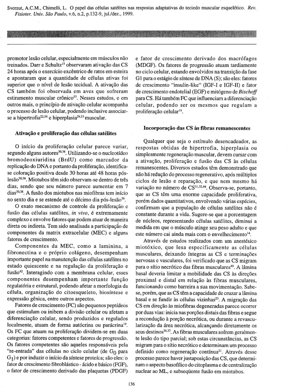 A ativação das CS também foi observada em aves que sofreram estiramento muscular crônico 53.