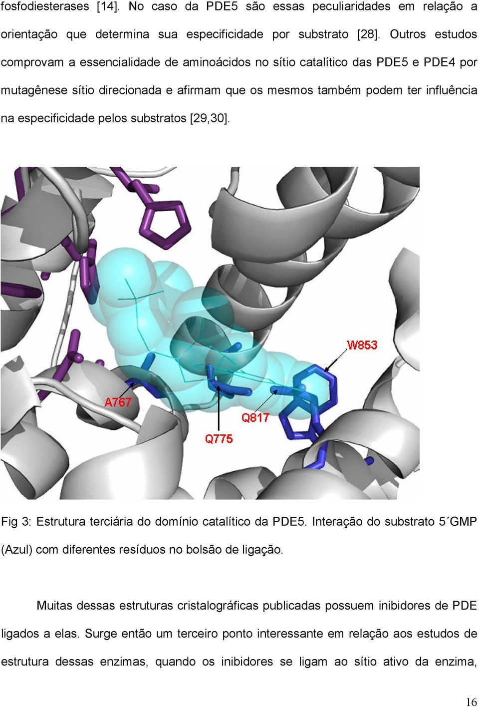 especificidade pelos substratos [29,30]. Fig 3: Estrutura terciária do domínio catalítico da PDE5. Interação do substrato 5 GMP (Azul) com diferentes resíduos no bolsão de ligação.