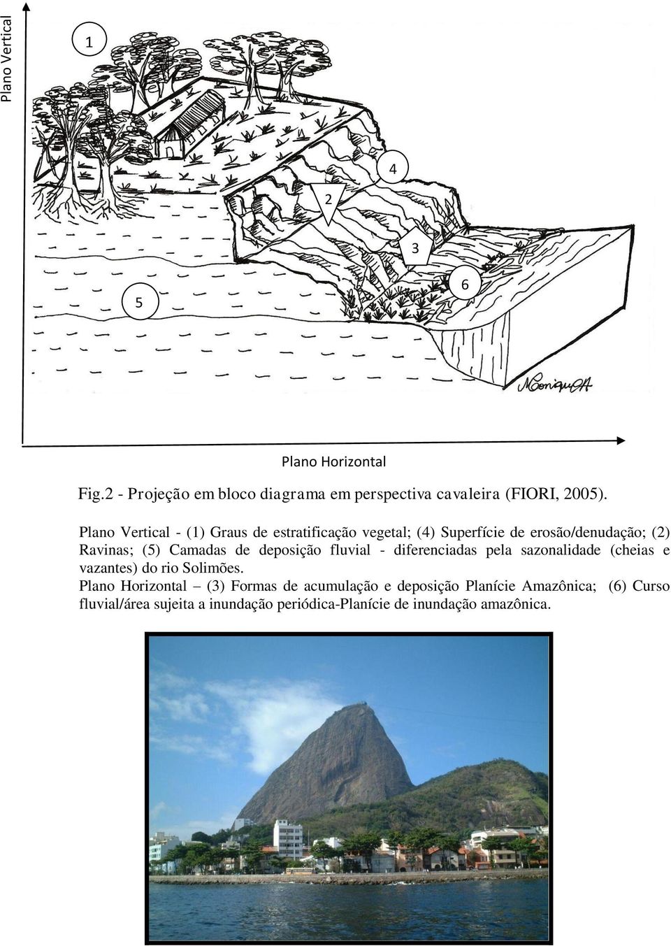 deposição fluvial - diferenciadas pela sazonalidade (cheias e vazantes) do rio Solimões.