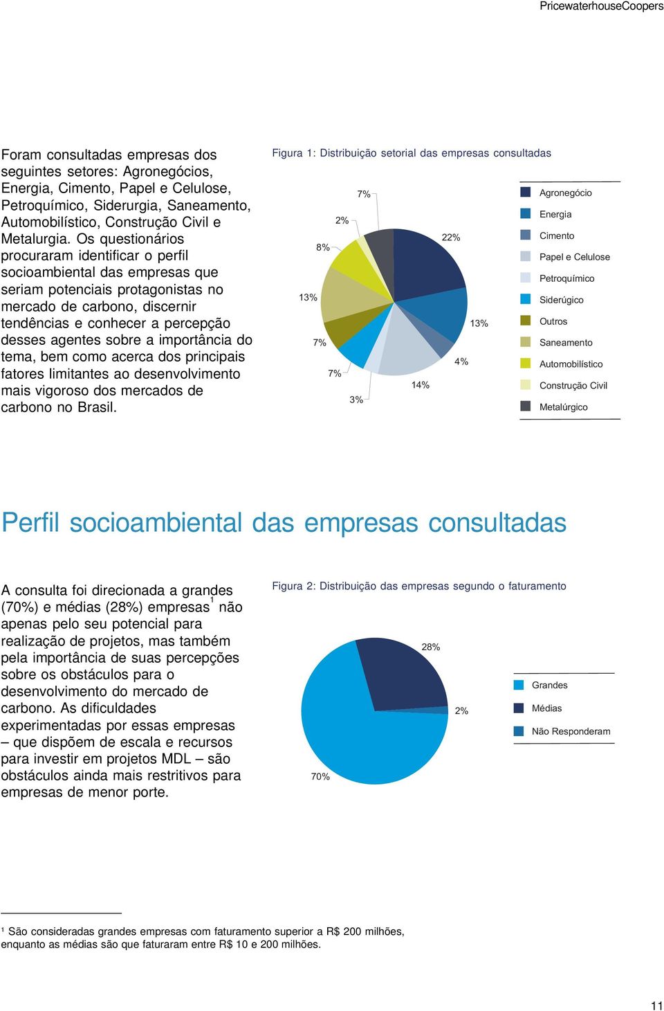 Os questionários procuraram identificar o perfil socioambiental das empresas que seriam potenciais protagonistas no mercado de carbono, discernir tendências e conhecer a percepção desses agentes