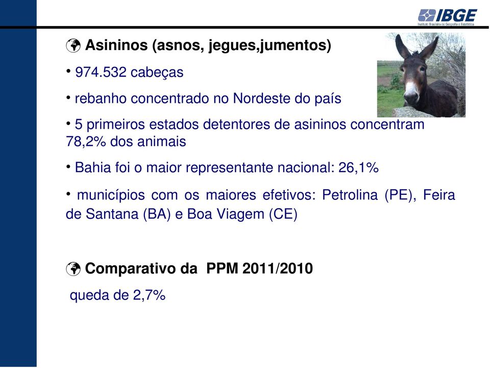 asininos concentram 78,2% dos animais Bahia foi o maior representante nacional: 26,1%