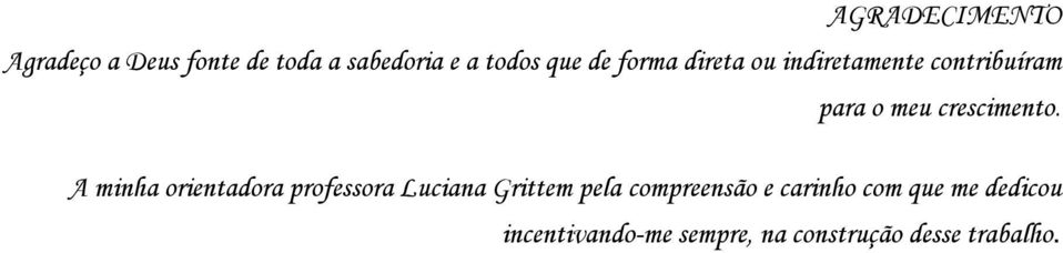 A minha orientadora professora Luciana Grittem pela compreensão e