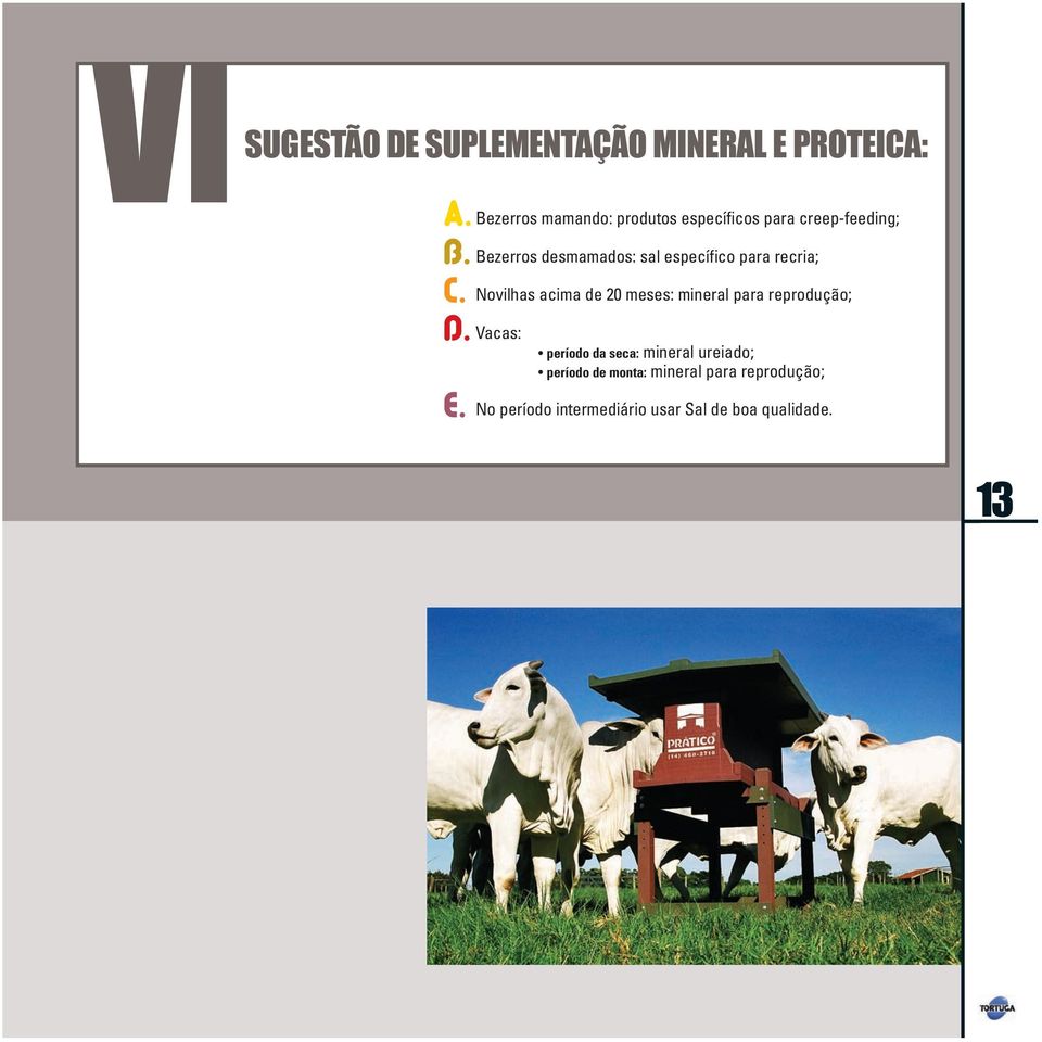 Bezerros mamando: produtos específicos para creep-feeding; Bezerros desmamados: sal