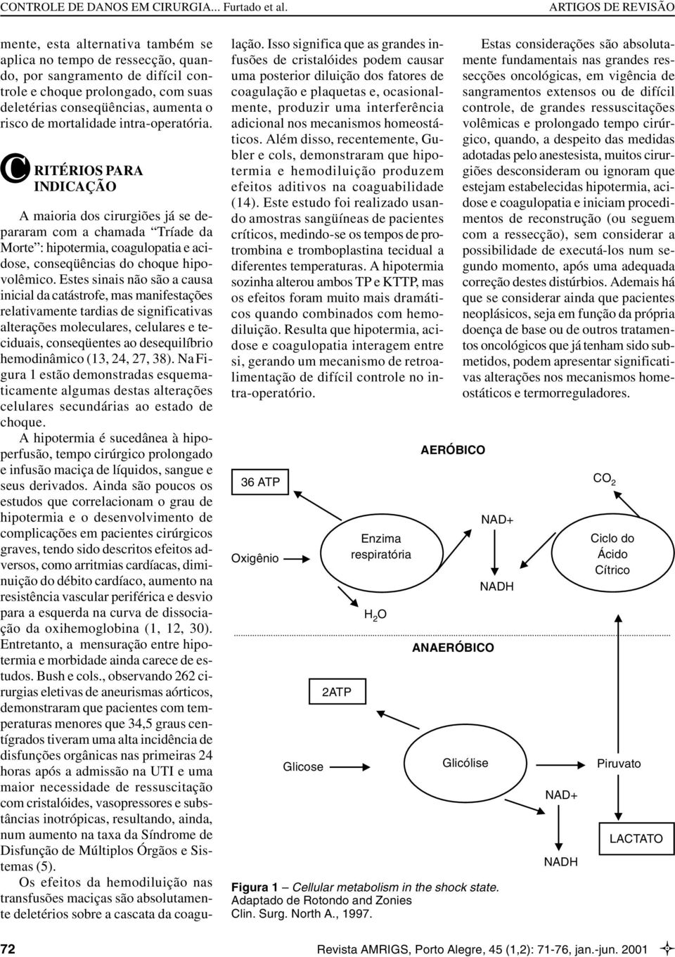 Estes sinais não são a causa inicial da catástrofe, mas manifestações relativamente tardias de significativas alterações moleculares, celulares e teciduais, conseqüentes ao desequilíbrio hemodinâmico