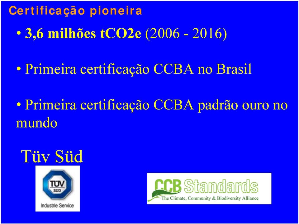 certificação CCBA no Brasil