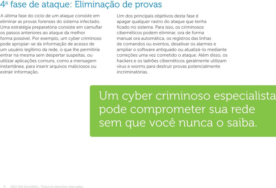 Por exemplo, um cyber criminoso pode apropiar-se da informação de acesso de um usuário legítimo da rede, o que lhe permitiria entrar na mesma sem despertar suspeitas, ou utilizar aplicações comuns,