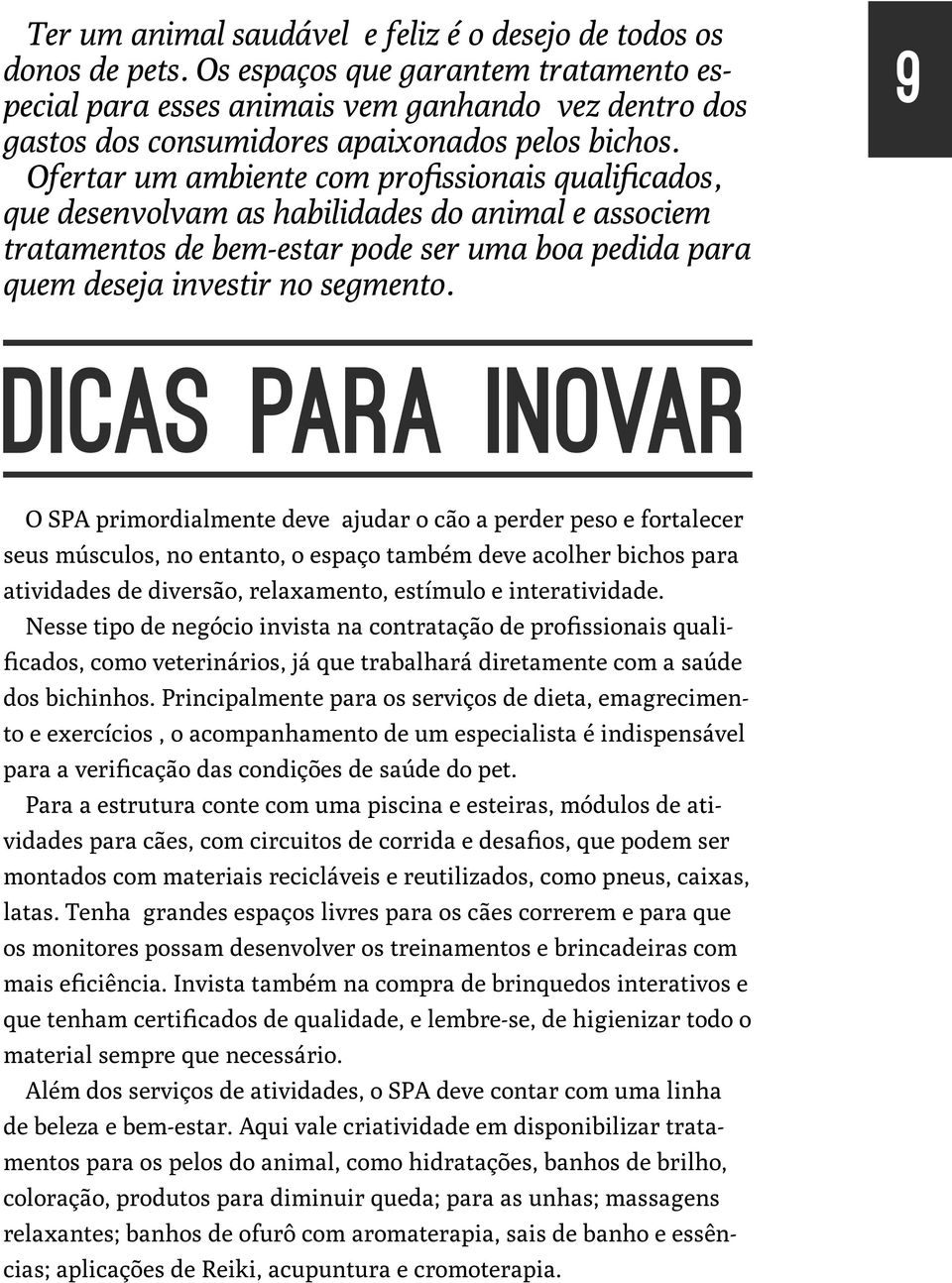 Ofertar um ambiente com profissionais qualificados, que desenvolvam as habilidades do animal e associem tratamentos de bem-estar pode ser uma boa pedida para quem deseja investir no segmento.