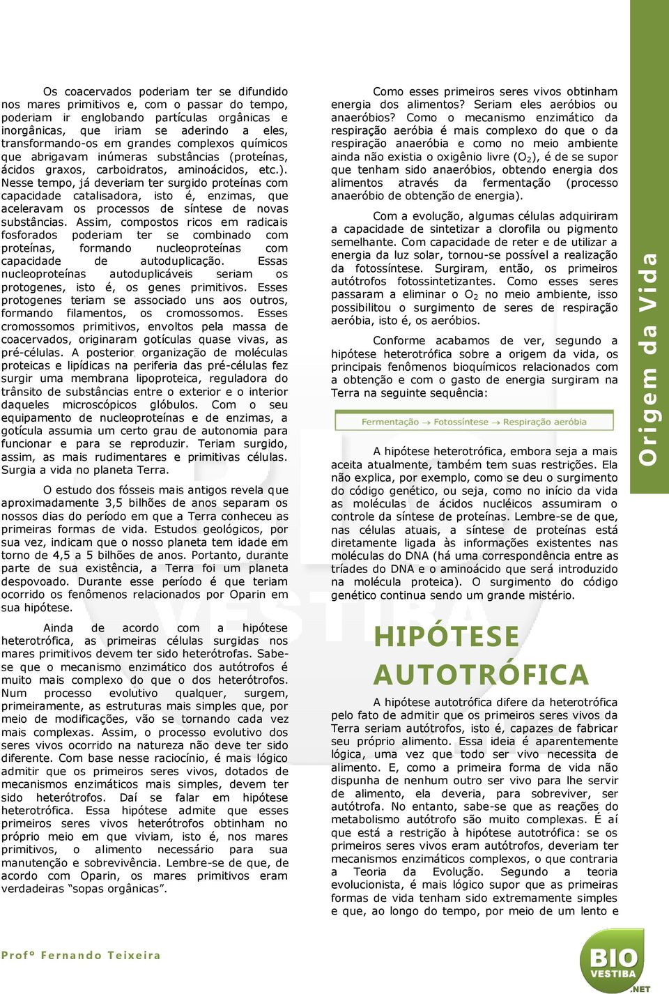 Nesse tempo, já deveriam ter surgido proteínas com capacidade catalisadora, isto é, enzimas, que aceleravam os processos de síntese de novas substâncias.