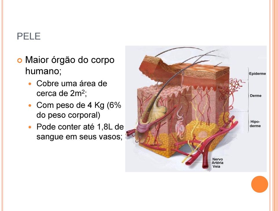 peso de 4 Kg (6% do peso corporal)