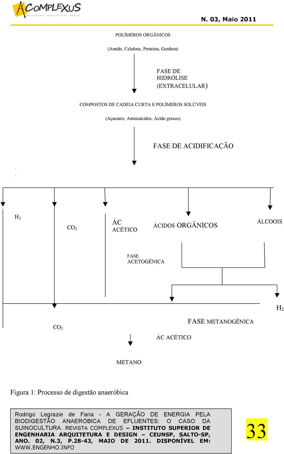 Ácido graxos) FASE DE ACIDIFICAÇÃO H 2 CO 2 ÁC ACÉTICO ÁCIDOS ORGÂNICOS ÁLCOOIS FASE