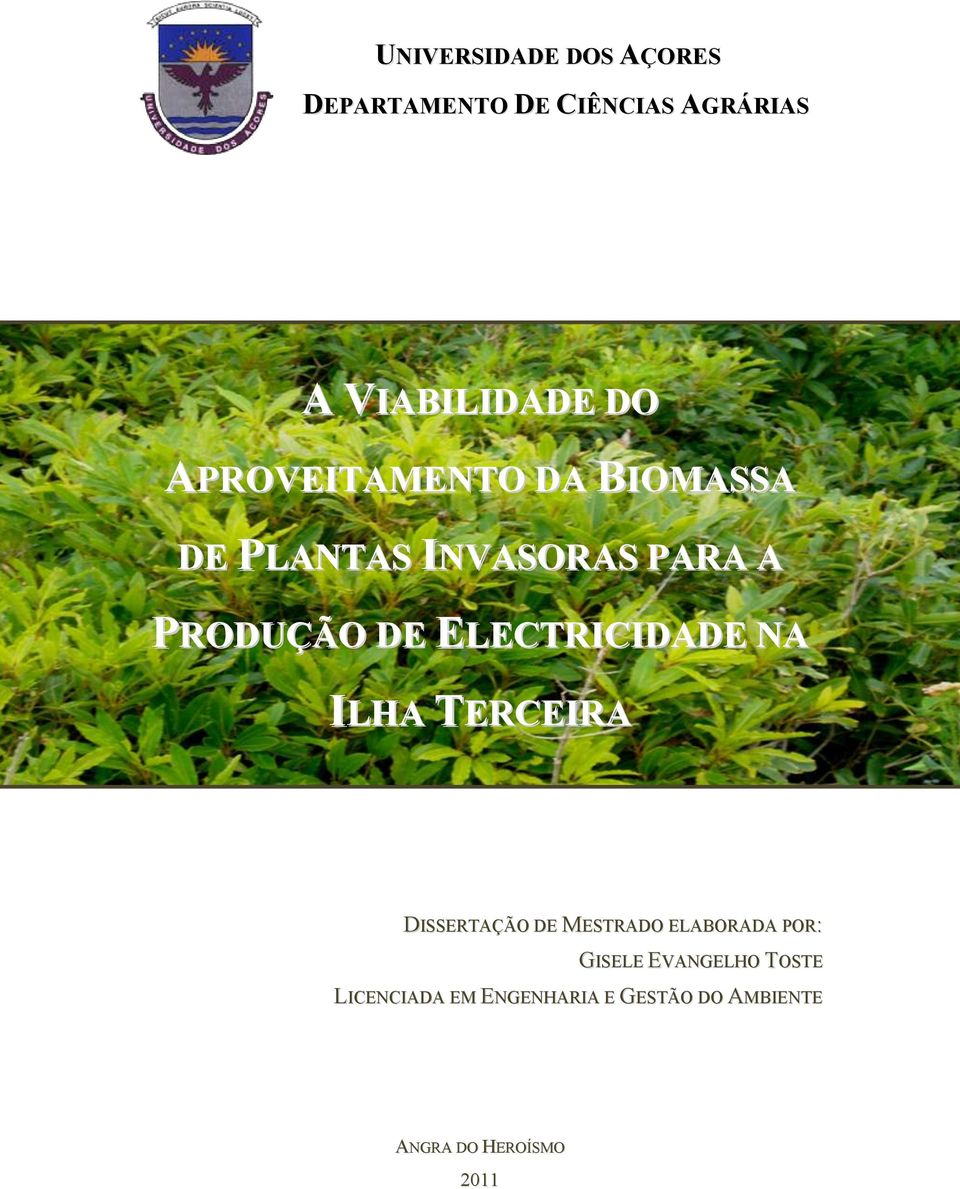 ELECTRICIDADE NA ILHA TERCEIRA DISSERTAÇÃO DE MESTRADO ELABORADA POR: