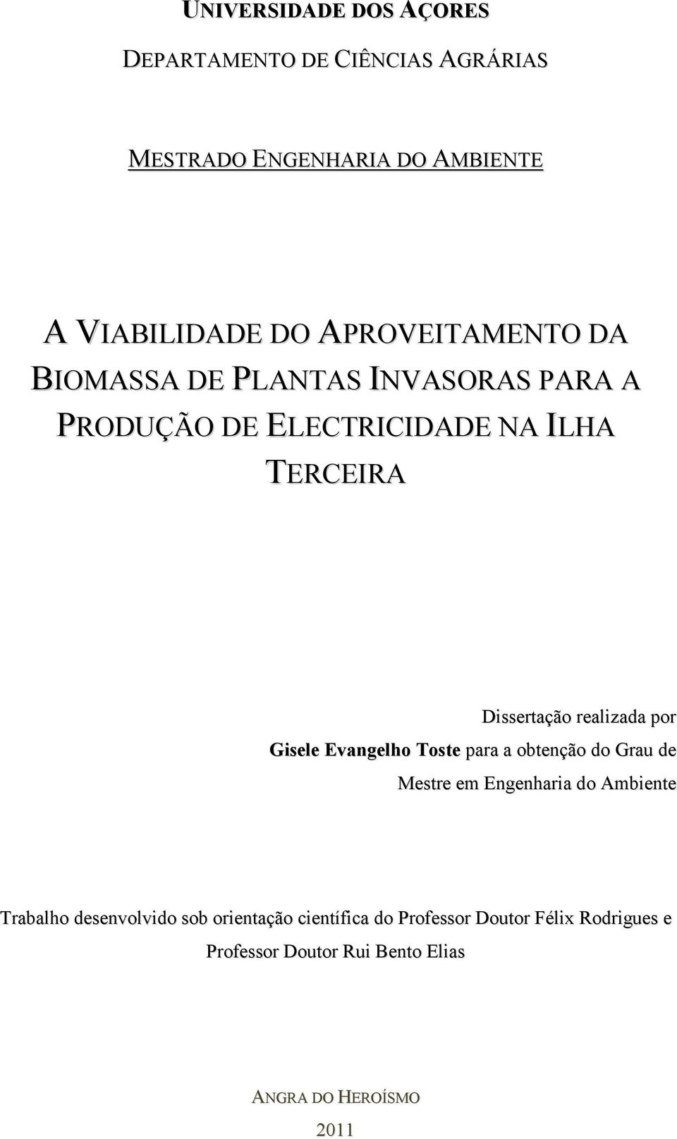 realizada por Gisele Evangelho Toste para a obtenção do Grau de Mestre em Engenharia do Ambiente Trabalho