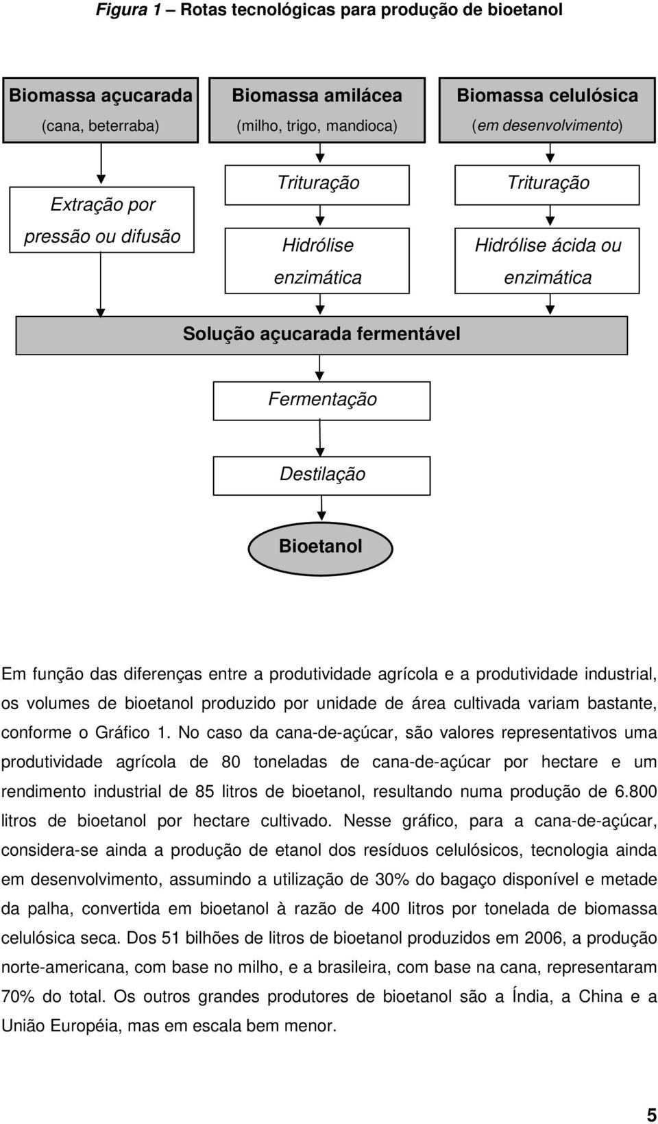 e a produtividade industrial, os volumes de bioetanol produzido por unidade de área cultivada variam bastante, conforme o Gráfico 1.