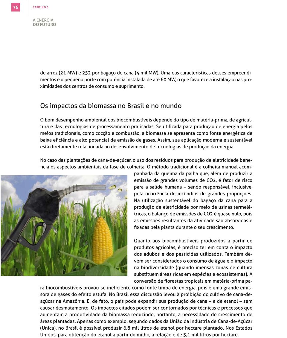 Os impactos da biomassa no Brasil e no mundo O bom desempenho ambiental dos biocombustíveis depende do tipo de matéria-prima, de agricultura e das tecnologias de processamento praticadas.