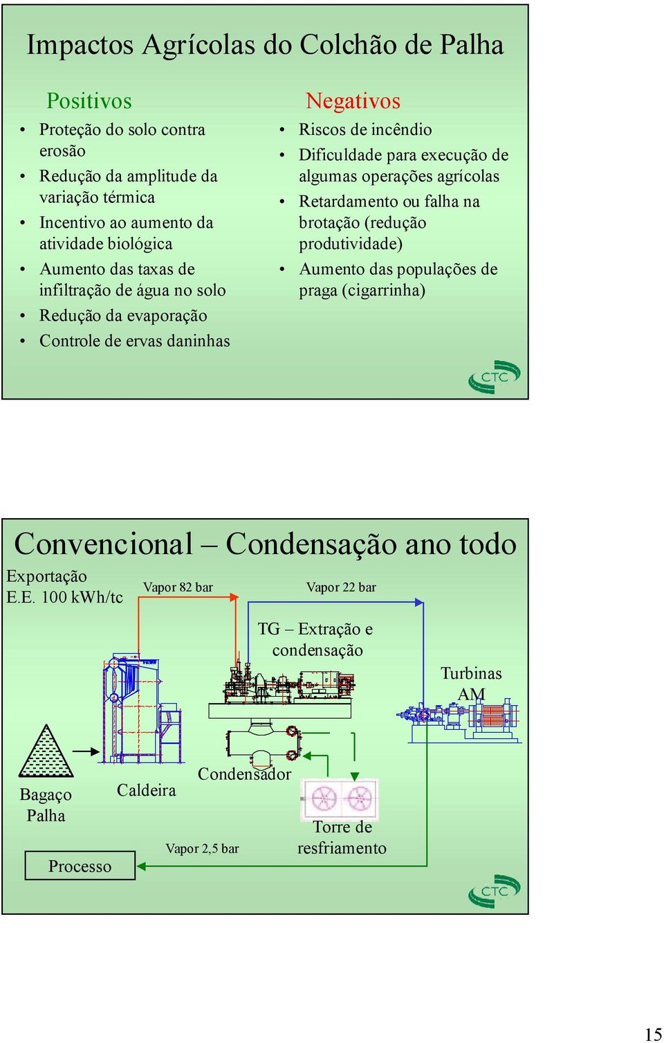 operações agrícolas Retardamento ou falha na brotação (redução produtividade) Aumento das populações de praga (cigarrinha) Convencional Condensação ano todo