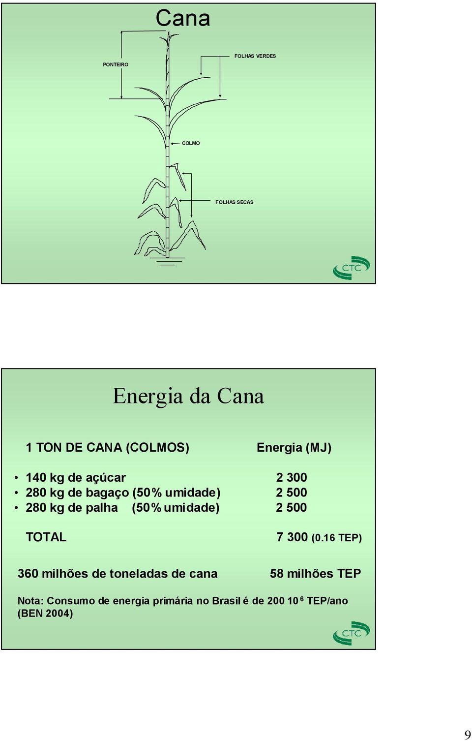 palha (50% umidade) 2 500 TOTAL 7 300 (0.