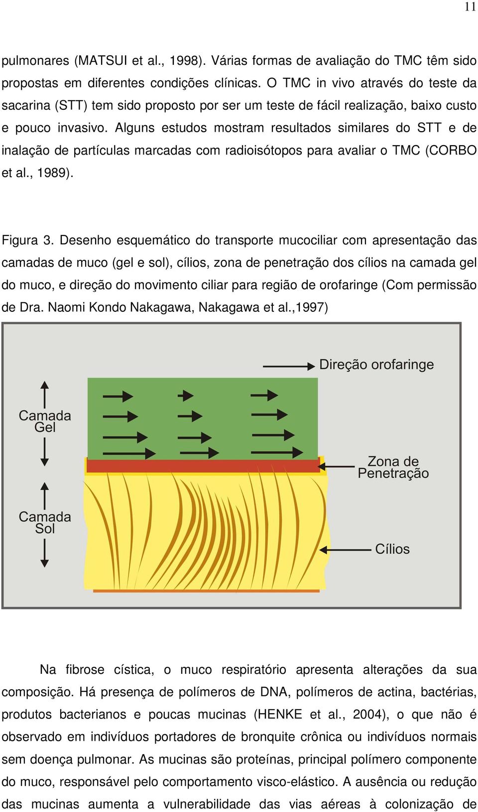 Alguns estudos mostram resultados similares do STT e de inalação de partículas marcadas com radioisótopos para avaliar o TMC (CORBO et al., 1989). Figura 3.