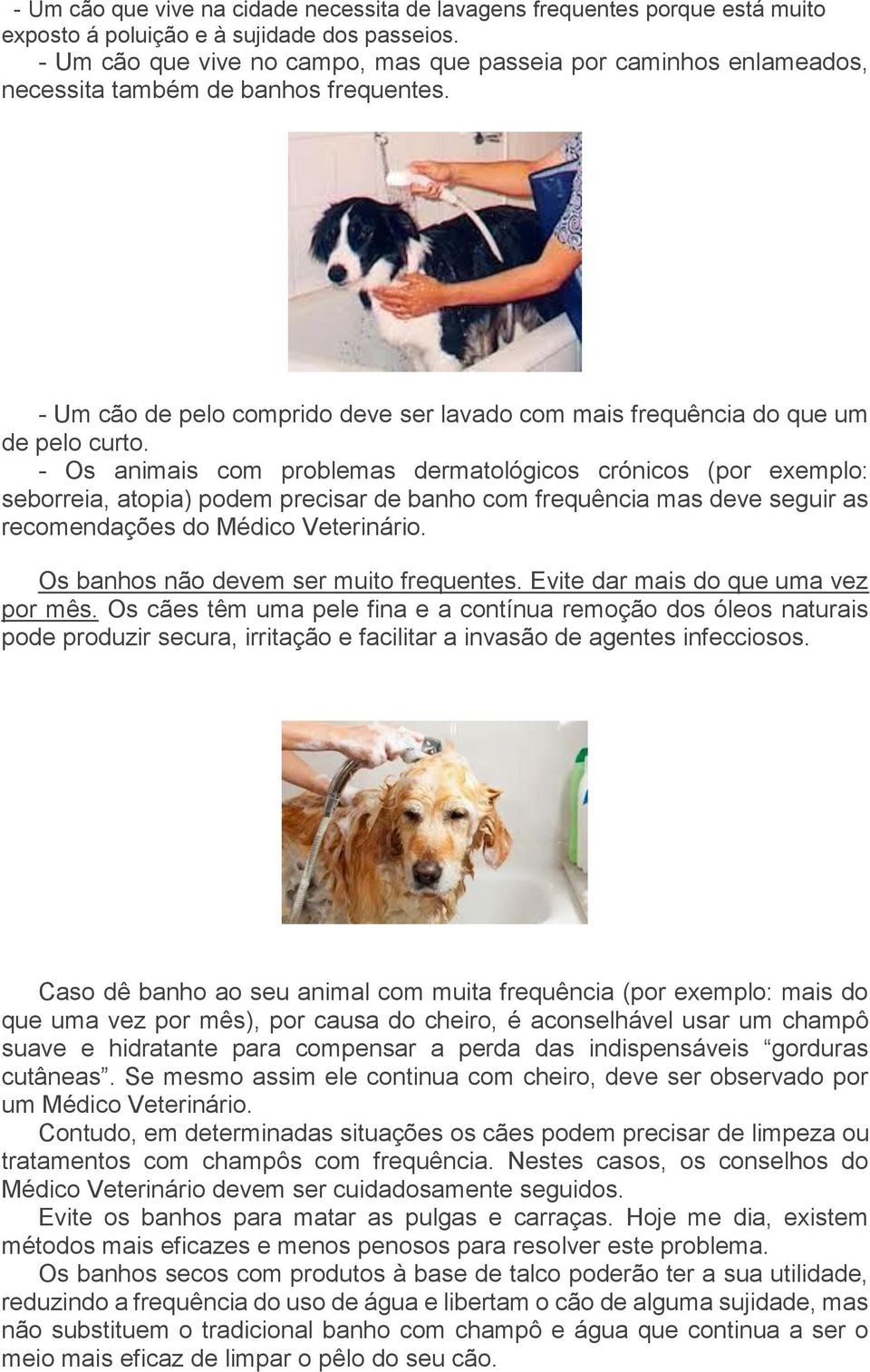 - Os animais com problemas dermatológicos crónicos (por exemplo: seborreia, atopia) podem precisar de banho com frequência mas deve seguir as recomendações do Médico Veterinário.