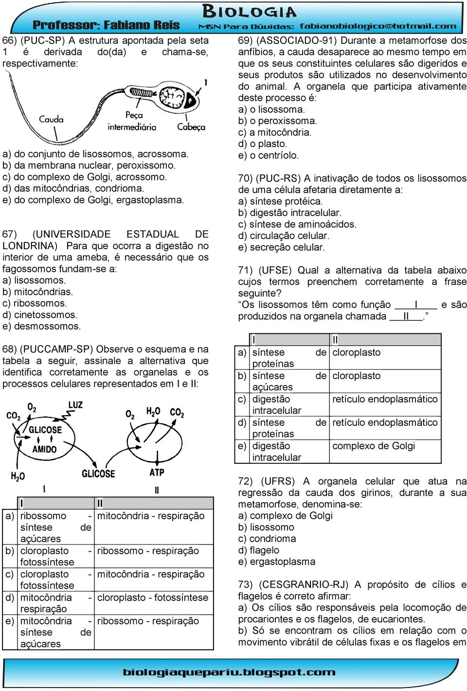 67) (UNIVERSIDADE ESTADUAL DE LONDRINA) Para que ocorra a digestão no interior de uma ameba, é necessário que os fagossomos fundam-se a: a) lisossomos. b) mitocôndrias. c) ribossomos. d) cinetossomos.